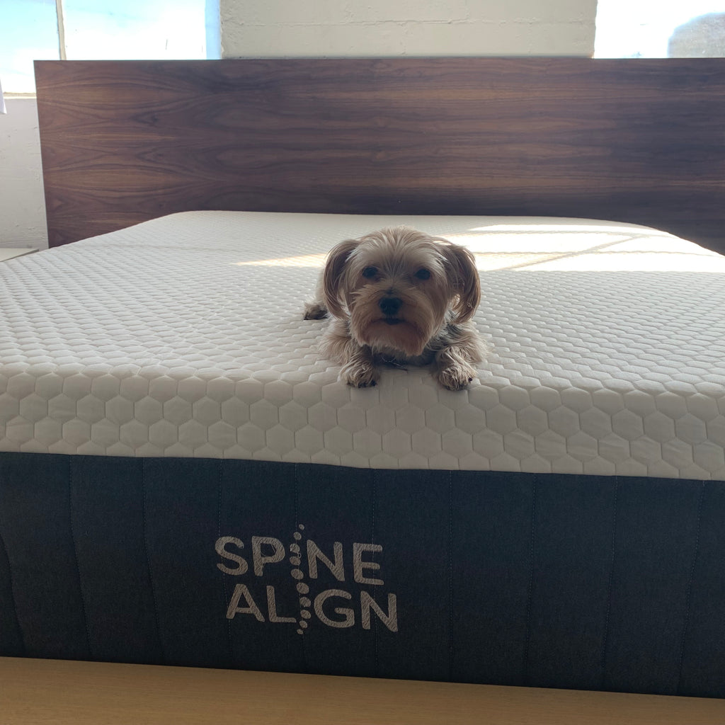 How Safe Is Your Mattress? SpineAlign